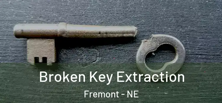 Broken Key Extraction Fremont - NE