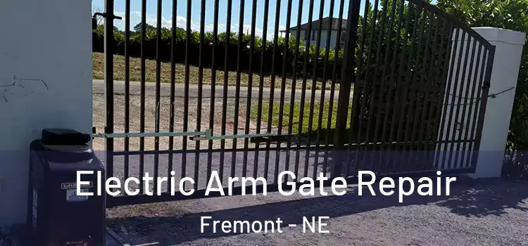 Electric Arm Gate Repair Fremont - NE