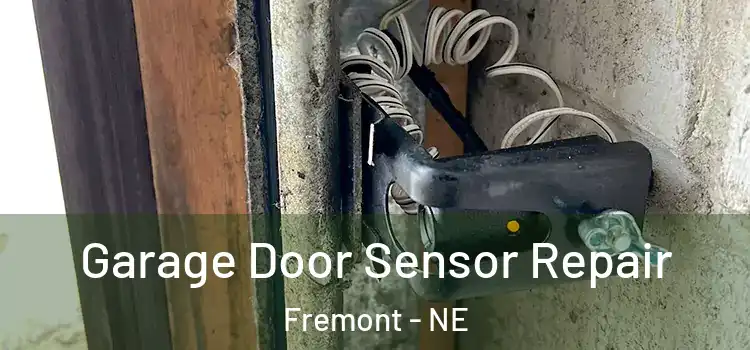 Garage Door Sensor Repair Fremont - NE