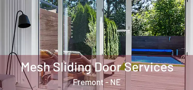 Mesh Sliding Door Services Fremont - NE
